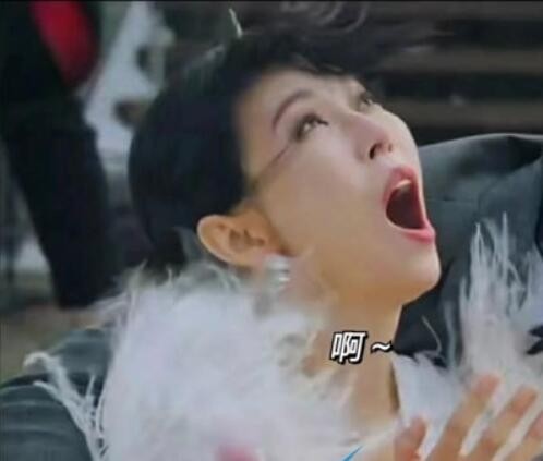 绝绝子是什么梗