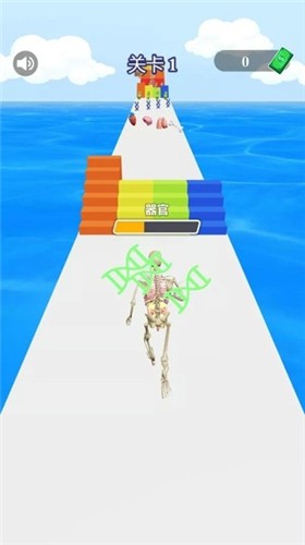 猛男进化
