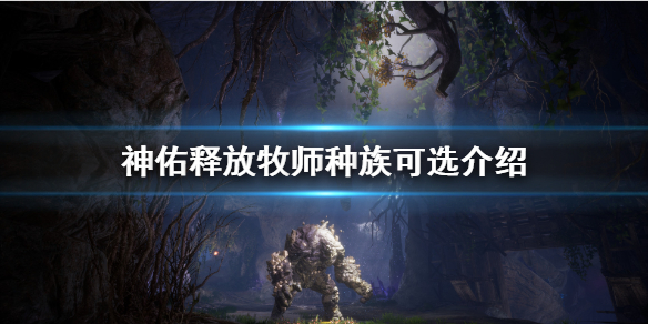 《神佑释放》牧师种族选什么？牧师种族可选介绍
