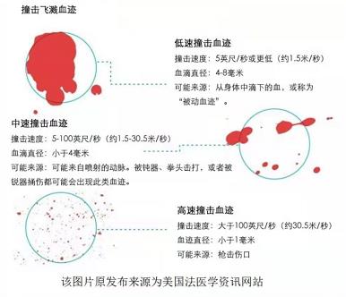 《犯罪大师》血迹勘察篇答案真相一览