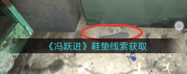《孙美琪疑案：冯跃进》四级线索——鞋垫