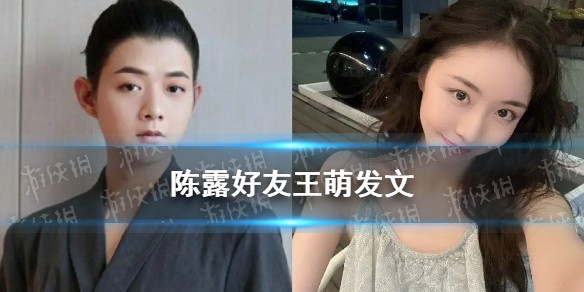 陈露好友王萌发文 既然锤了就锤到底