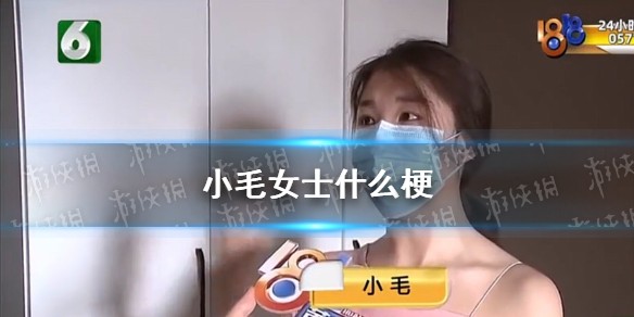 小毛女士什么梗