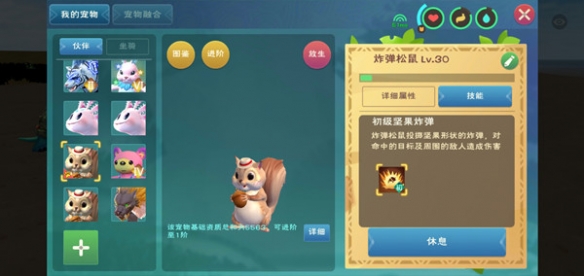 《创造与魔法》炸弹松鼠升阶攻略