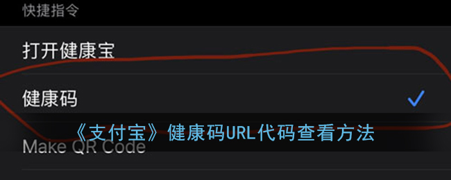 《支付宝》健康码URL代码查看方法