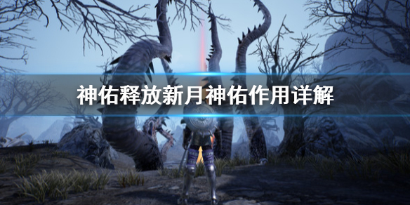 《神佑释放》新月神佑好用吗？新月神佑作用详解