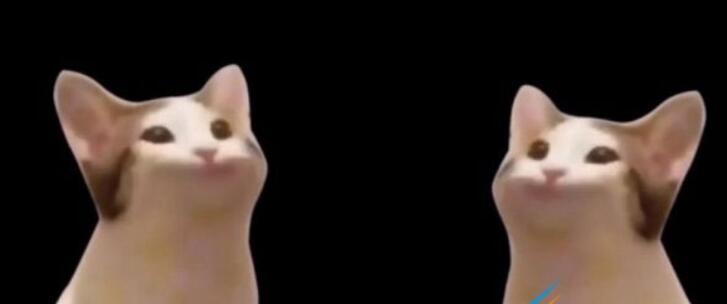 QQ截图20210813092112.jpg