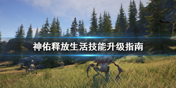 《神佑释放》生活技能怎么升级？生活技能升级指南