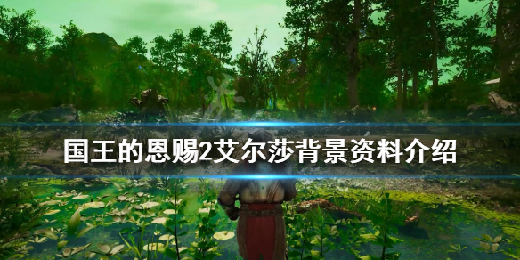 《国王的恩赐2》艾尔莎怎么样？艾尔莎背景资料介绍