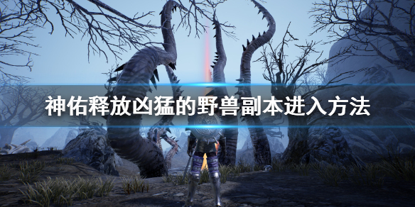 《神佑释放》凶猛的野兽副本在哪？凶猛的野兽副本进入方法