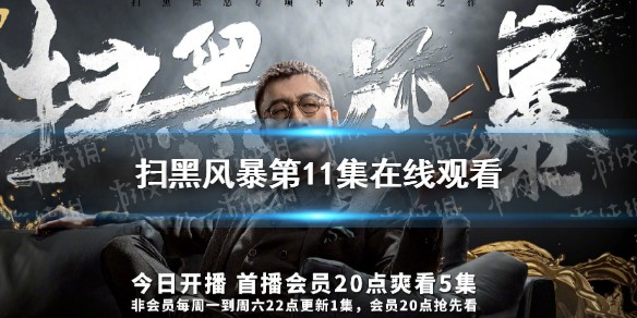 扫黑风暴第11集在线观看完整版