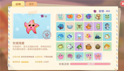《摩尔庄园手游》玫瑰海星作用分享