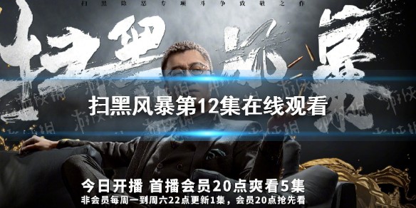 扫黑风暴第12集在线观看完整版