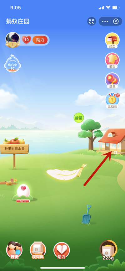 《蚂蚁庄园》小鸡不见了怎么办