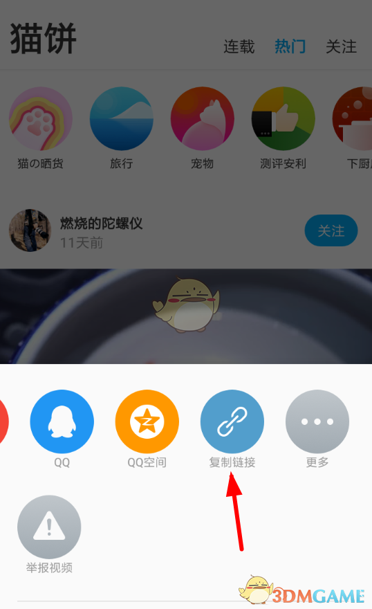 《猫饼》下载视频方法