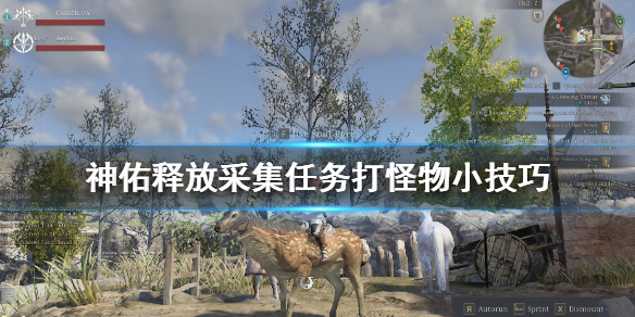《神佑释放》采集任务怎么打boss？采集任务打怪物小技巧