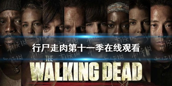 行尸走肉第十一季在线观看完整版