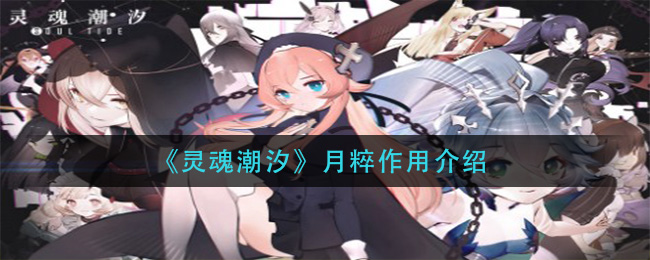 《灵魂潮汐》月粹具体的作用和介绍