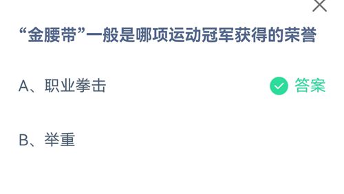 金腰带一般是哪项运动冠军获得的荣誉