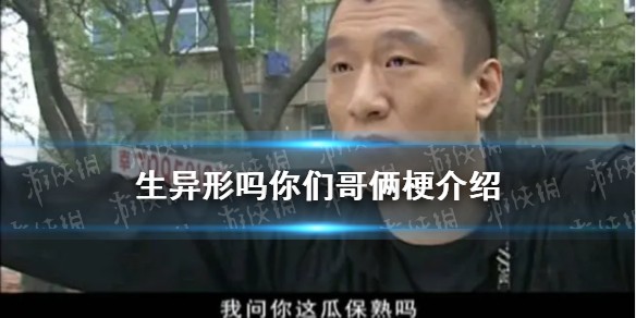 生异形吗你们哥俩什么梗