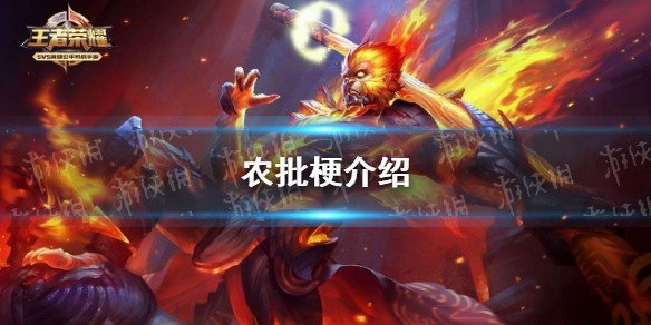 农批是什么梗？农批是什么意思？
