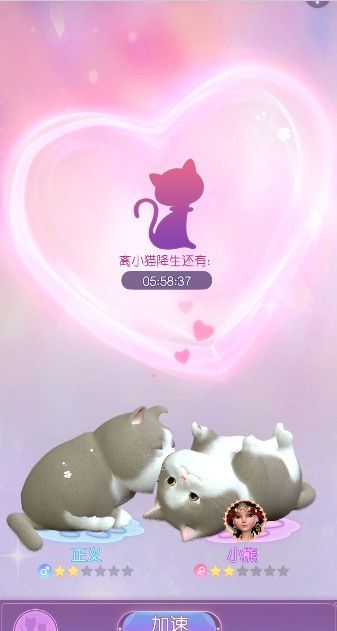 《时光公主》猫咪升星攻略