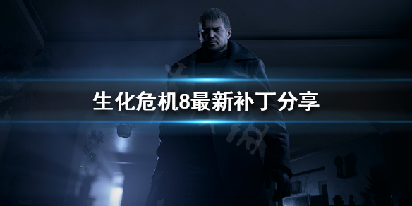 《生化危机8》PC版无法启动？最新补丁分享