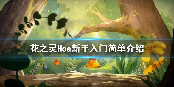 《花之灵》Hoa新手怎么玩？Hoa新手入门简单介绍