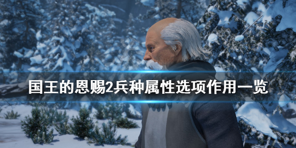 《国王的恩赐2》兵种属性选项有哪些？兵种属性选项作用一览