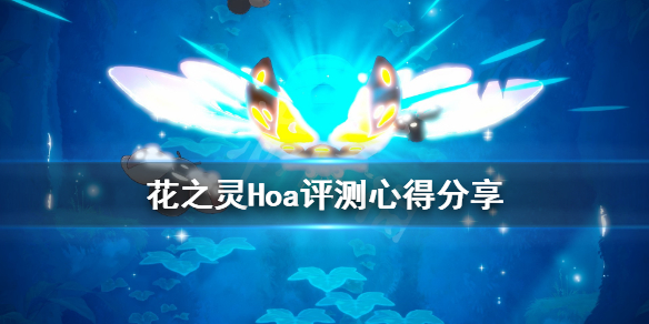 《花之灵》Hoa值得购买吗？Hoa评测心得分享