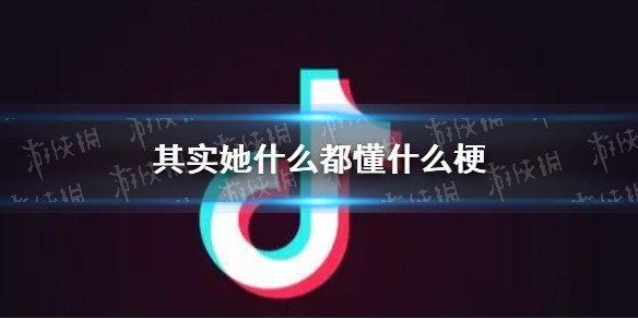 其实她什么都懂什么梗