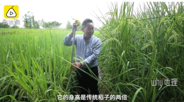 QQ截图20210828174844.jpg