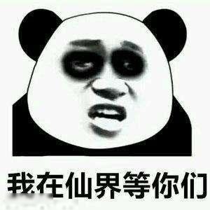 一脸仙气是什么梗