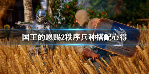 《国王的恩赐2》秩序兵种怎么搭配？秩序兵种搭配心得