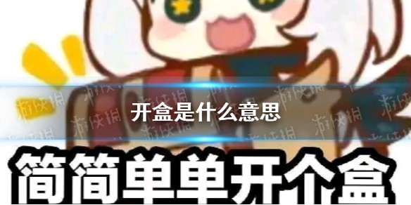开盒是什么意思