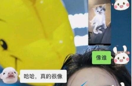 极限敷衍聊天是什么梗