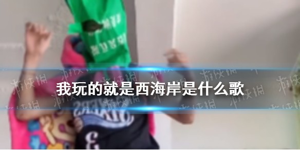 我玩的就是西海岸是什么歌