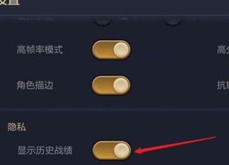 金铲铲之战如何隐藏对战记录