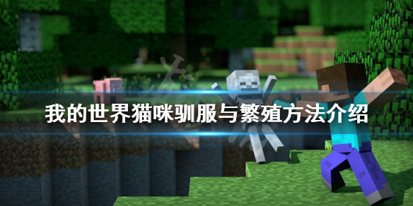 《我的世界》猫吃什么才能驯服？猫咪驯服与繁殖方法介绍