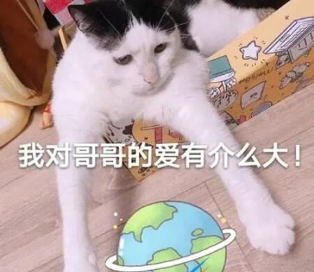 QQ截图20210903110215.jpg