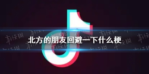 北方的朋友回避一下是什么梗