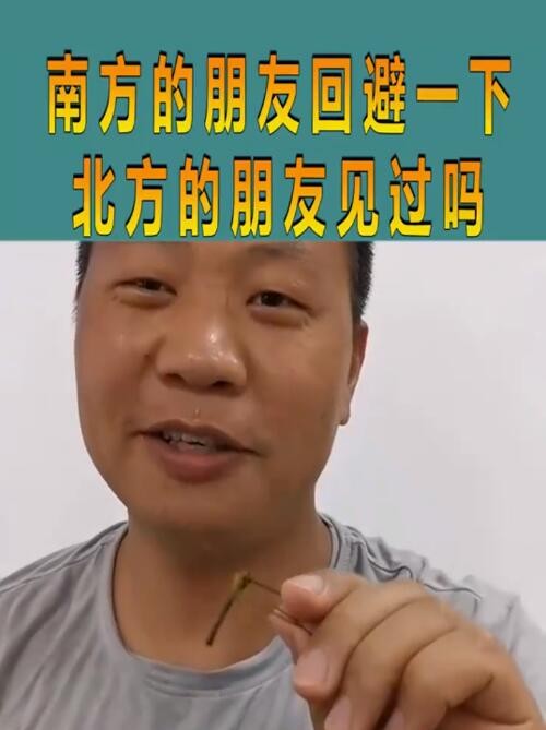 南方的朋友回避一下是什么梗