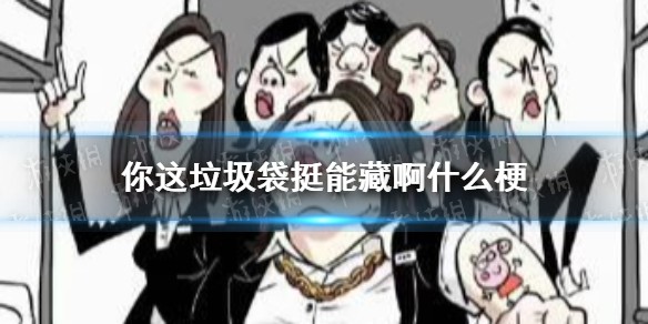 你这垃圾袋挺能藏啊是什么梗