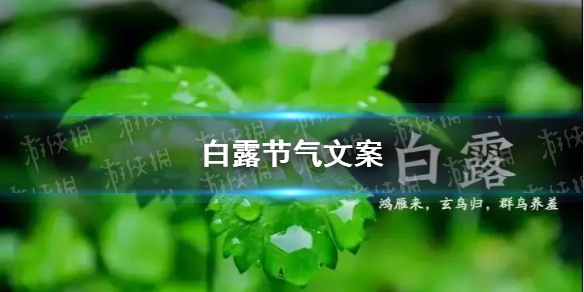 584_3a52939b-51be-bf88-d2ba-35fb22b23cb5.jpg