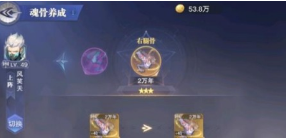 《斗罗大陆:魂师对决》专属魂骨升星攻略