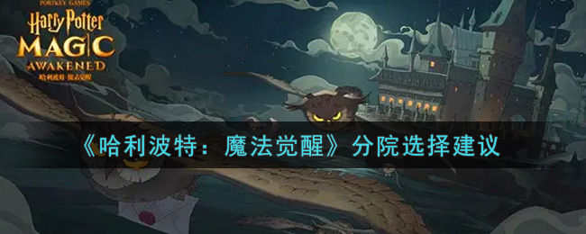 《哈利波特：魔法觉醒》分院选择建议