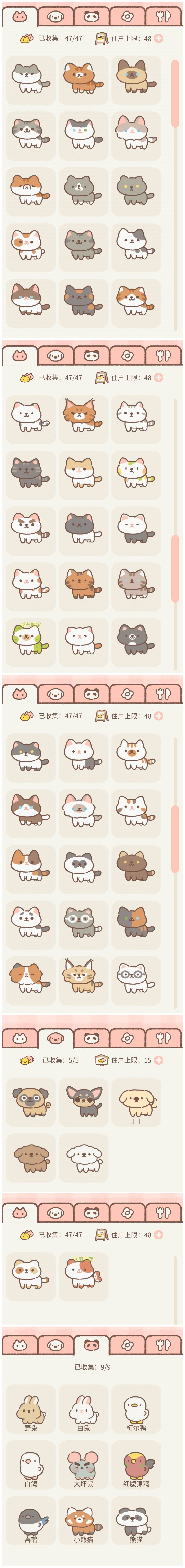 《遇见你的猫》猫图鉴汇总