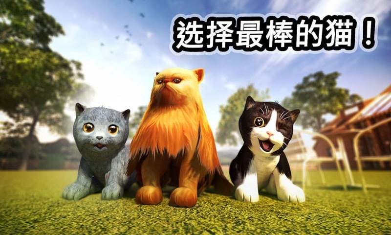 迷你小猫城市生存手机游戏安卓版