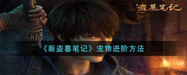 《新盗墓笔记》宠物进阶方法