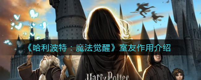 《哈利波特：魔法觉醒》室友作用介绍